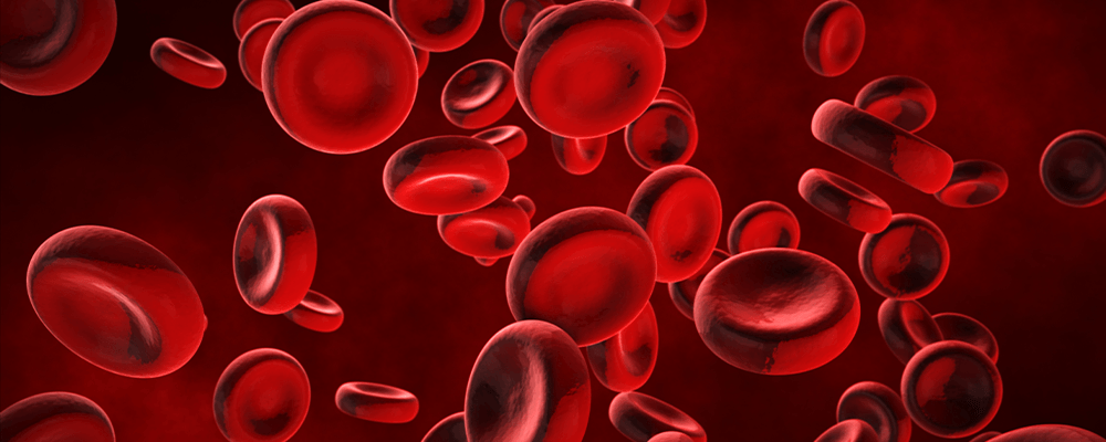 blood cells - ABM przekaże 100 mln na leczenie nowotworów przełomową terapią CAR-T cells